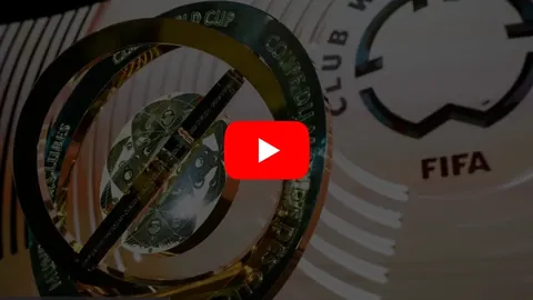 香港四径探险记｜本地越野跑纪录片12月6日上映，预售票房全线告急